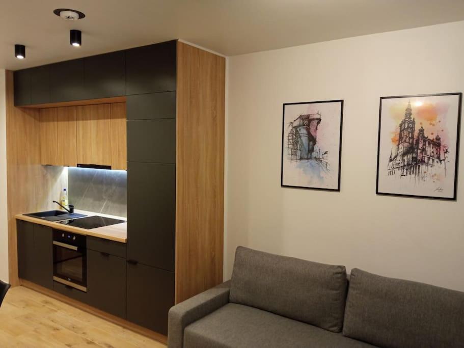 Apartament Nowa Stocznia グダニスク エクステリア 写真